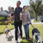 The Unicorn Episode 14 “The Wade Beneath My Wings” Synopsis The Unicorn Episode 14 The Wade Beneath My Wings Synopsis