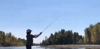 Yellowstone Season 4 Updates: New Cast Finn Little Finn Little in Montana