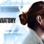 Grey’s Anatomy Season 17 Episode 12 “Sign O’ the Times” Greys Anatomy season 17 episode 6