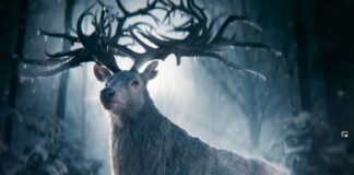 Shadow and Bone Season 1 Episode Guide shadow and bone season 1