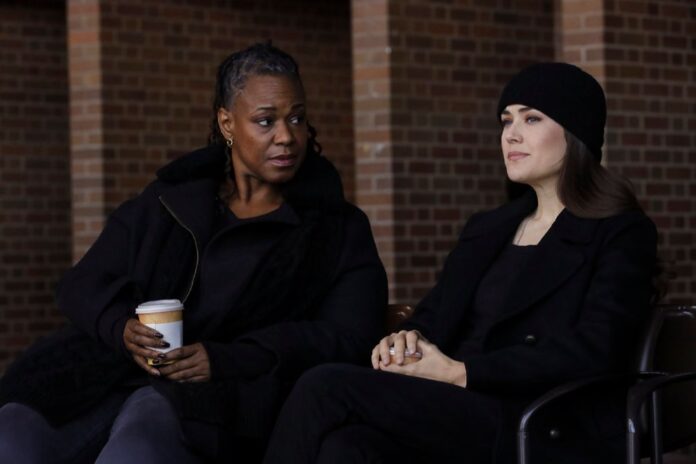 The Blacklist new Season 8 Episode 4 Photos