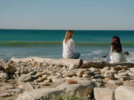 Greys Anatomy Season 17 Episode 10 "Breathe” Meredith meet beloved sister Lexie