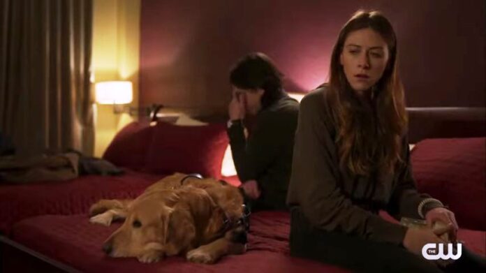 In the Dark Episode 305