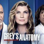 Today Night! Grey’s Anatomy season 18 Episode 1 “Here Comes the Sun” Greys Anatomy