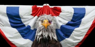 (Season Finale) The Circus Season 6 Episode 16 “THE BROKEN PLACE” The Circus Season 6 Episode 16 Release Date