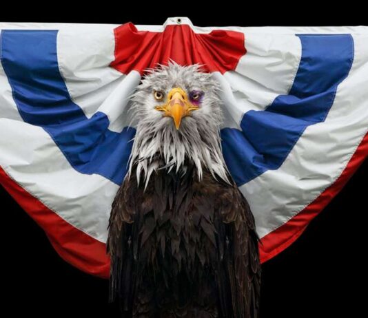 (Season Finale) The Circus Season 6 Episode 16 “THE BROKEN PLACE” The Circus Season 6 Episode 16 Release Date