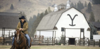 Yellowstone Season 5 Cast – Who Will Return? Who is the new cast in Yellowstone S05 ? Yellowstone Season 4 Episode 5