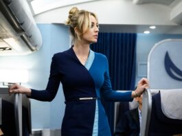 The Flight Attendant-