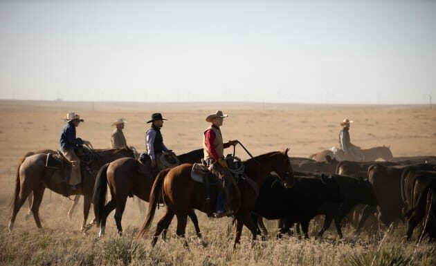 Yellowstone: Season 4, Episode 8 Photos