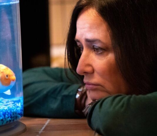 ‘Better Things’ Season 5 Finale Recap “We Are Not Alone” better-things-season-5 finale recap