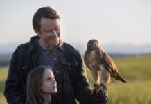 Joe Pickett Season 2 Release Date | Cast | Trailer | Where to Watch Joe Pickett Season 2 Release Date | Cast | Trailer | Where to Watch