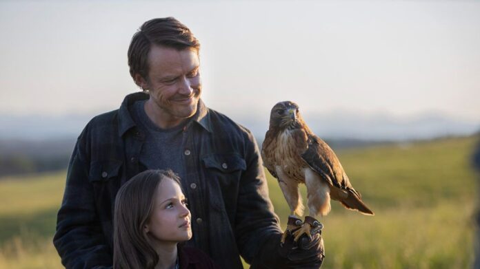 Joe Pickett Season 2 Release Date | Cast | Trailer | Where to Watch