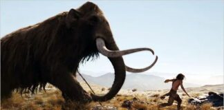 10,000 BC Film Location: Where Was 10,000 BC Filmed? 10,000 BC Film Location: Where Was 10,000 BC Filmed?