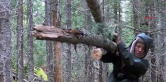 Alone Season 9 Episode 3: Labrador’s Winter Approaches Alone Season 9 Episode 3: Labrador's Winter Approaches