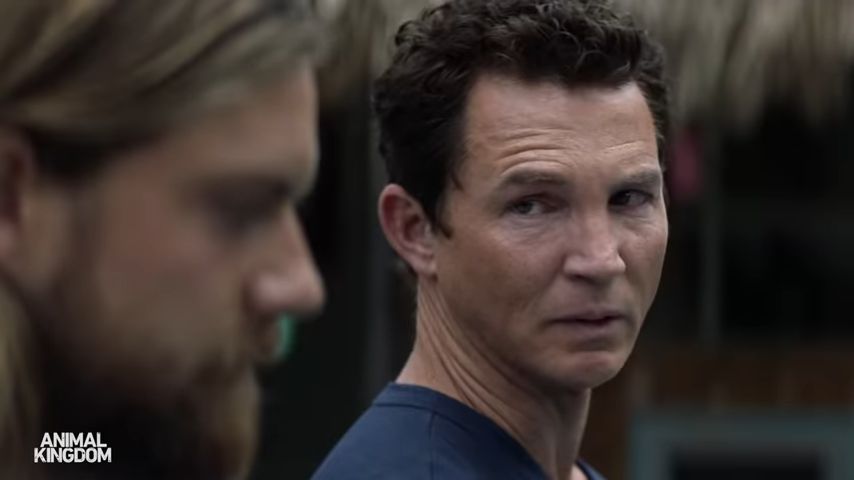 Animal Kingdom Season 6: How to Watch Animal Kingdom Season 6 Online? - TV Acute - TV Recaps & Reviews Animal Kingdom Season 6: How to Watch Animal Kingdom Season 6 Online? - TV Acute - TV Recaps & Reviews