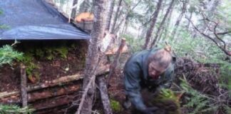 Alone Season 9 Episode 7: A threat may push a survivalist to the brink Alone Season 9 Episode 7: A threat may push a survivalist to the brink