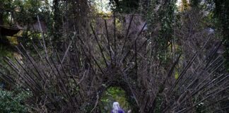 Moonhaven Episode 1 and 2 Recap: What Does Bella Discover in Chill’s Belongings? Moonhaven Episode 1 and 2 Recap