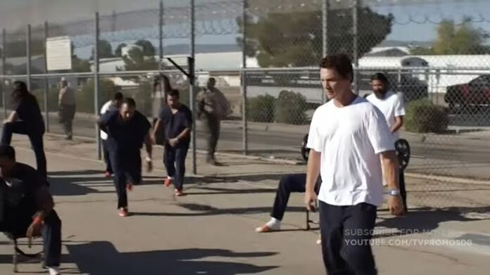 Animal Kingdom Season 6 Episode 10