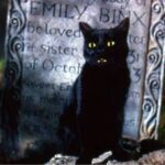 In Hocus Pocus, what happened to Binx the cat? Hocus Pocus-cat
