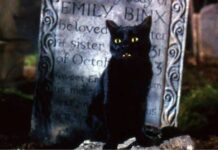 In Hocus Pocus, what happened to Binx the cat? Hocus Pocus-cat