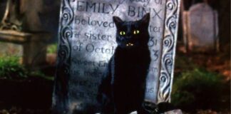In Hocus Pocus, what happened to Binx the cat? Hocus Pocus-cat