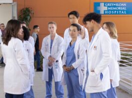 Greys Anatomy Season 19 Episode 1 everything changed-