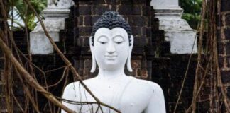 Are you Ready for SWAT Season 6 Episode 1 Trip to Thailand Are you Ready for SWAT Season 6 Episode 1 Trip to Thailand