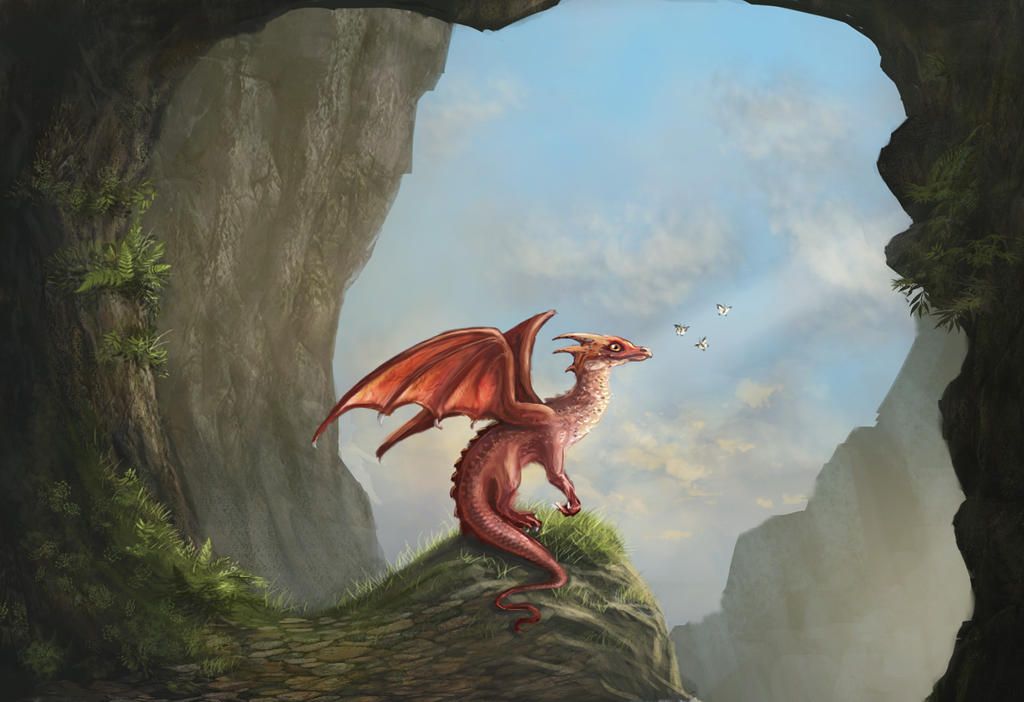 Rhaena's dragon morning