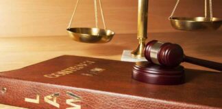 M.S.L. vs J.D.: Which One is for Me? msl vs jd