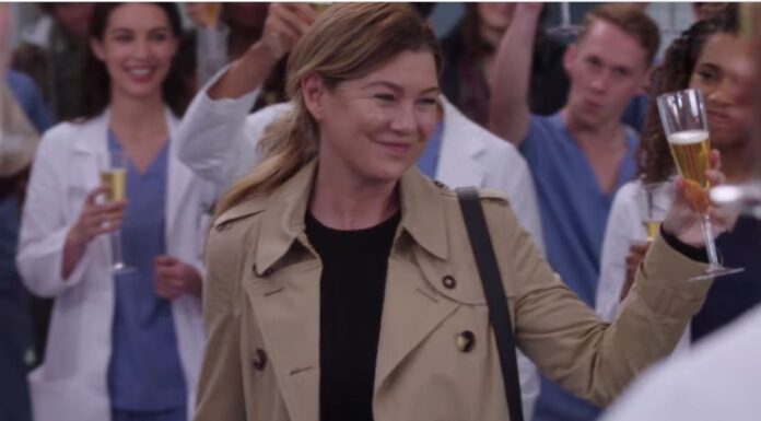 Greys Anatomy Season 19-