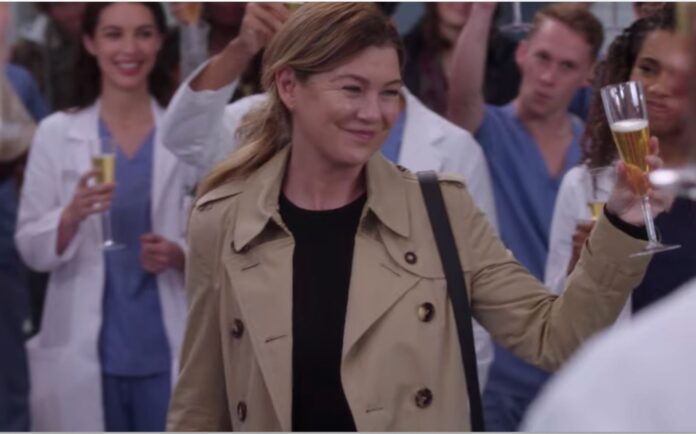 Greys Anatomy Season 19-