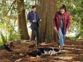 good-doctor-season-6-episode-11-shaun-lea with injured dog-