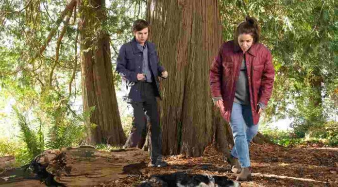 good-doctor-season-6-episode-11-shaun-lea with injured dog-