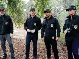 NCIS S20xE15-
