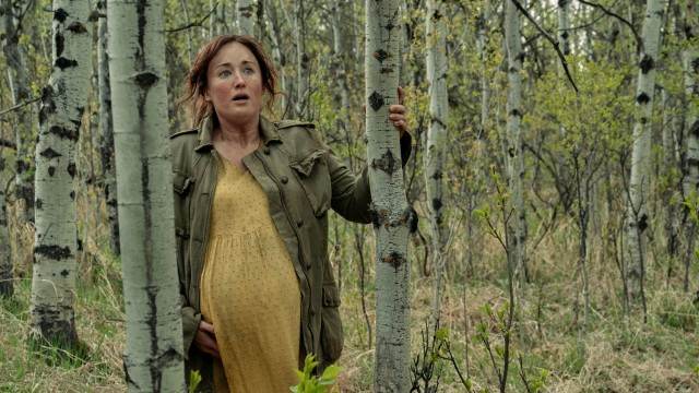 The last of us Ashley Johnson