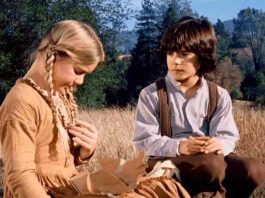 Who Plays Albert (Quinn) Ingalls in Little House On The Prairie?