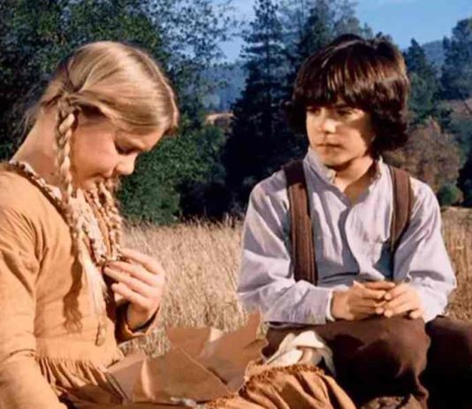 Who Plays Albert Ingalls in Little House On The Prairie? Who Plays Albert (Quinn) Ingalls in Little House On The Prairie?
