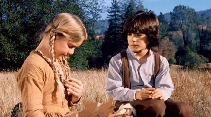 Who Plays Albert (Quinn) Ingalls in Little House On The Prairie?