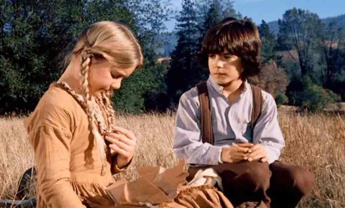 Who Plays Albert (Quinn) Ingalls in Little House On The Prairie?
