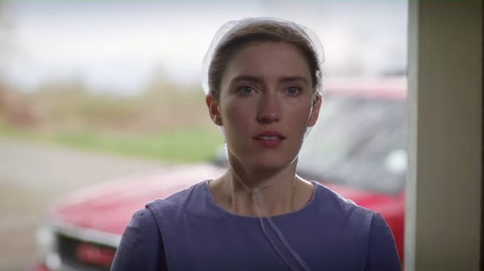 Amish Stud: The Eli Weaver Story