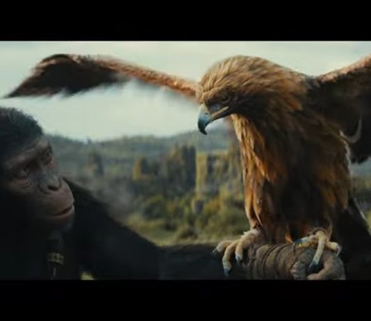 Kingdom of the Planet of the Apes: Official Trailer, release Date, Cast and Filming Kingdom of the Planet of the Apes: Official Trailer