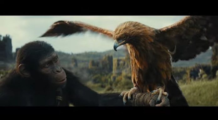 Kingdom of the Planet of the Apes: Official Trailer