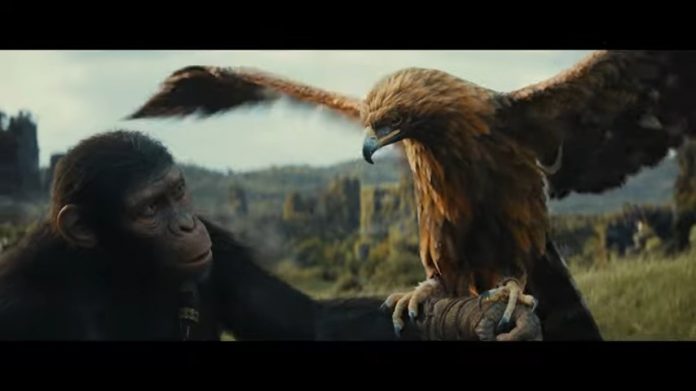 Kingdom of the Planet of the Apes: Official Trailer