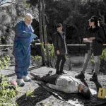 NCIS Sydney Season 1 Episode 2 Recap NCIS Sydney Episode 2 Recap