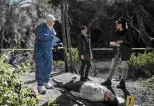 NCIS Sydney Season 1 Episode 2 Recap NCIS Sydney Episode 2 Recap