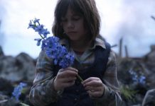 What is the blue flower’s significance in Fear the Walking Dead Series Finale? FTWD series finale, Blue Flower