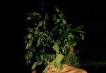 What is ‘Smoke Sauna’ in Smoke Sauna Sisterhood Doc Movie? What is 'Smoke Sauna' in Smoke Sauna Sisterhood Doc Movie?