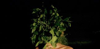 What is ‘Smoke Sauna’ in Smoke Sauna Sisterhood Doc Movie? What is 'Smoke Sauna' in Smoke Sauna Sisterhood Doc Movie?