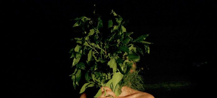 What is 'Smoke Sauna' in Smoke Sauna Sisterhood Doc Movie?