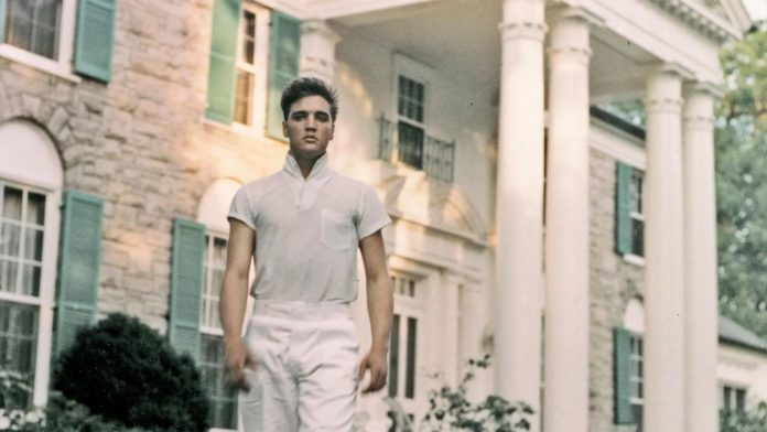 Graceland Mention